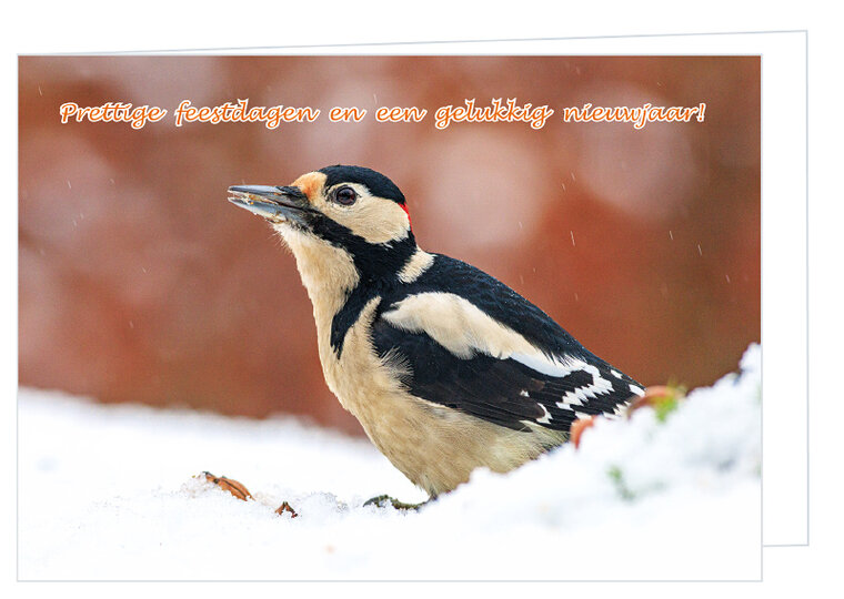 Weihnachtskarte Buntspecht (K015)