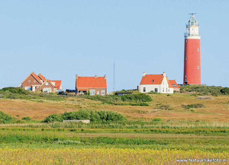 Postkarten Set Texel - 16 Postkarten mit Texel Motive  (nr. 094)