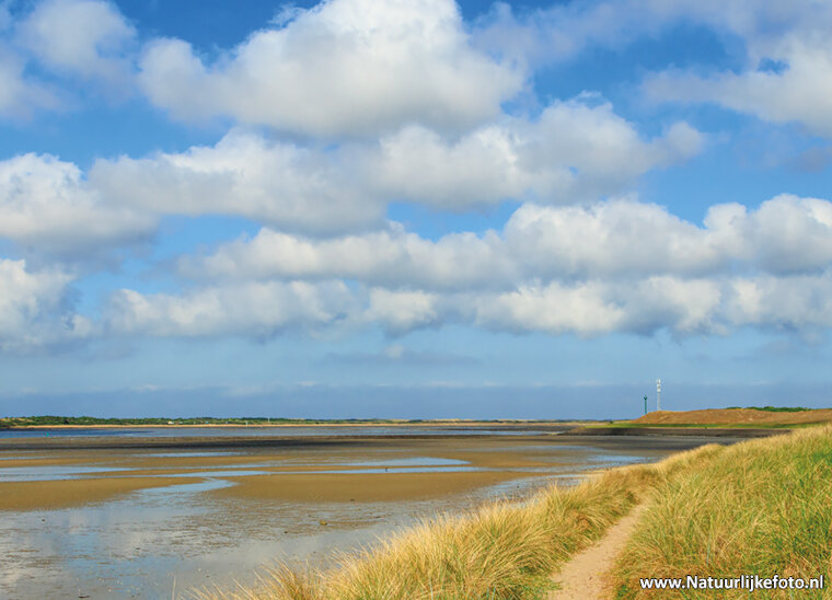 Postkarte Mokbaai auf Texel