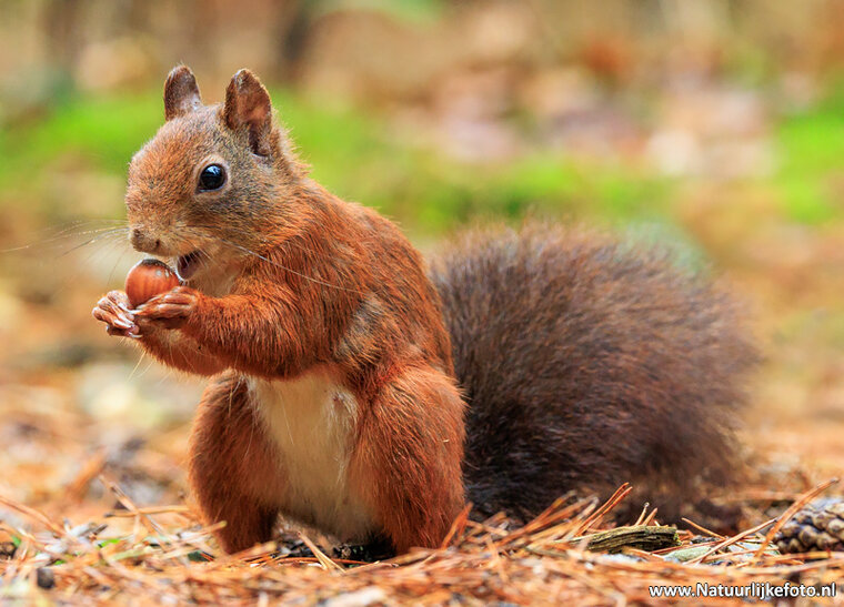 Fotografie-Workshop Leeuwarden