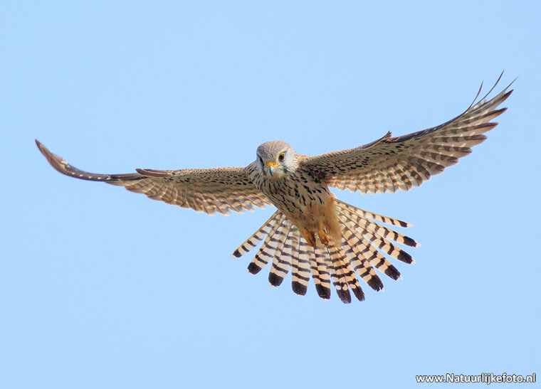 Fotografie-Workshop Friesland