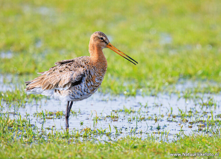 Fotografie-Workshop Friesland