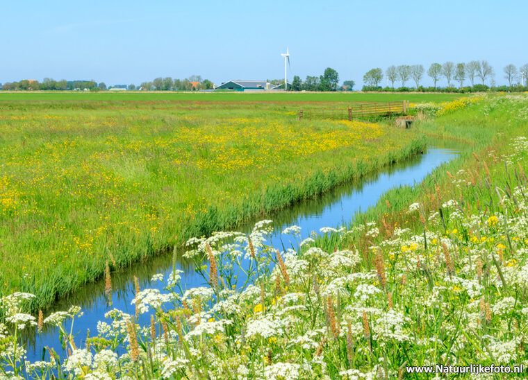Fotografie-Workshop Friesland