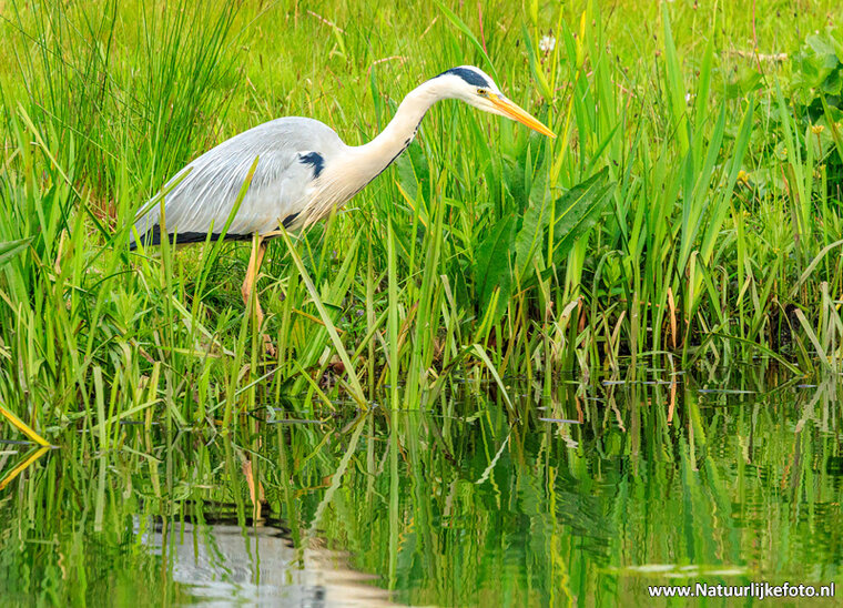 Fotografie-Workshop Haren