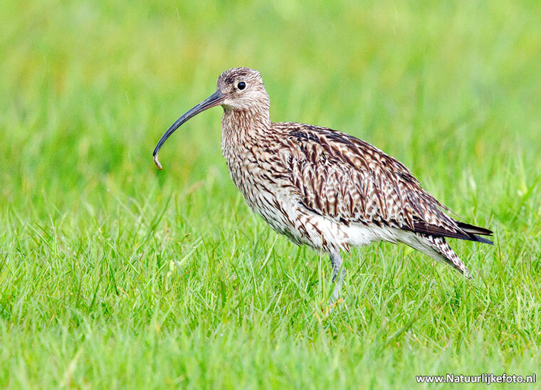 Fotografie-Workshop Heerenveen