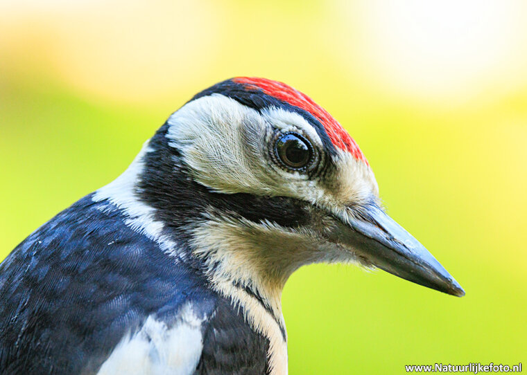 Fotografie-Workshop Zuidhorn
