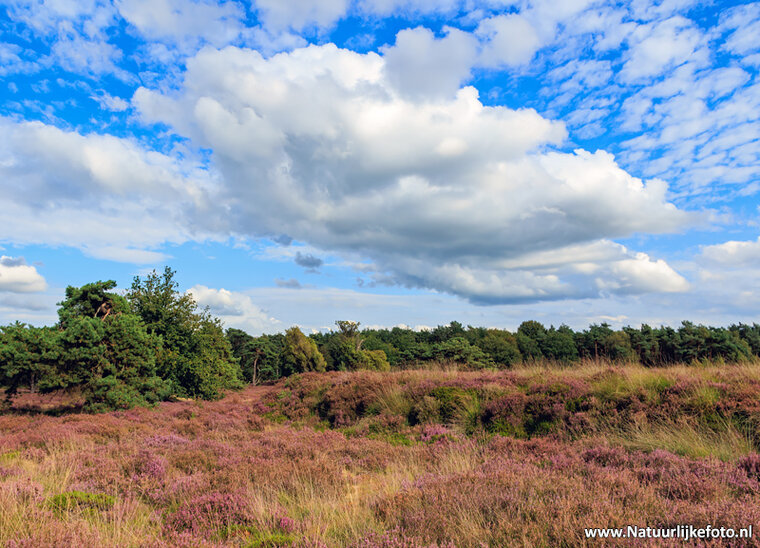 Fotoworkshop Hoogeveen