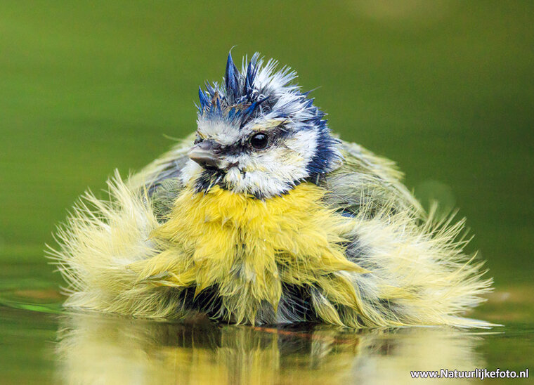 Fotografie-Workshop Heerenveen