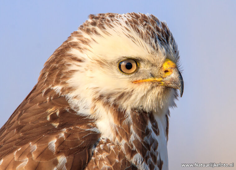 Fotografie-Workshop Assen