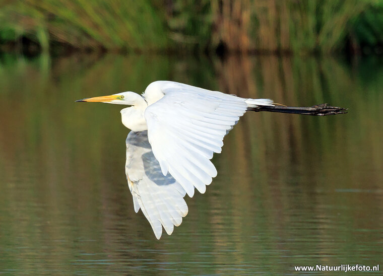 Fotografie-Workshop Hoogezand