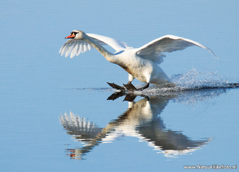 Fotografie-Workshop Zuidhorn