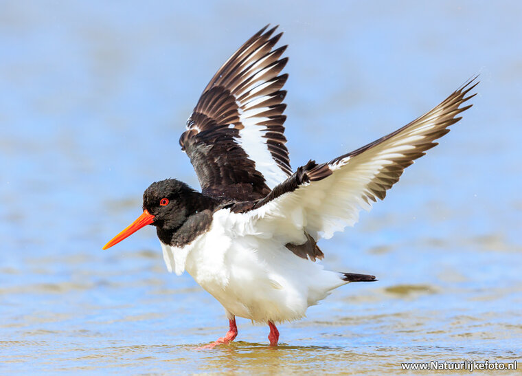 Fotografie-Workshop Zuidhorn