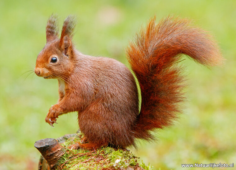 Fotografie-Workshop Haren