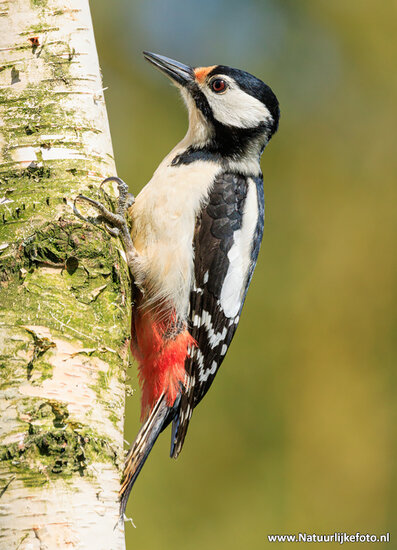 Fotografie-Workshop Haren
