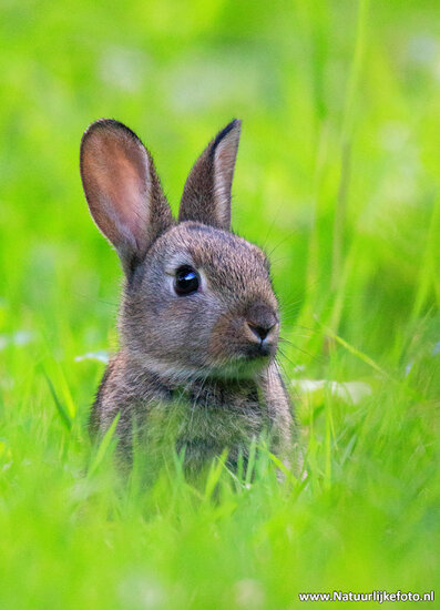 Fotografie-Workshop Assen