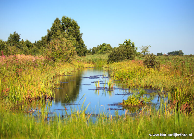 Fotografie-Workshop Heerenveen