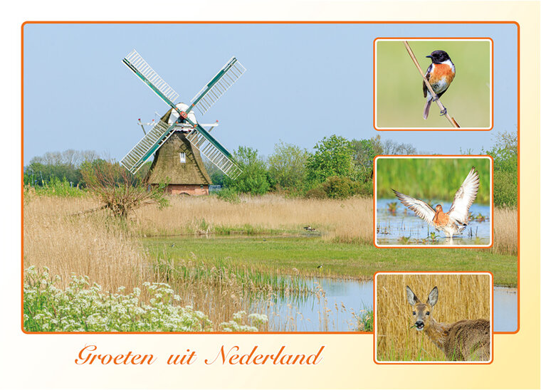 Postkarte groeten uit Nederland Fruhling