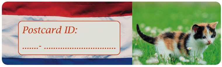 Postcrossing Postkarte ID stickers Katze