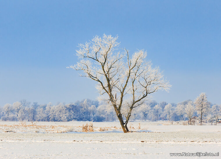 Postkarte Winter landschaft