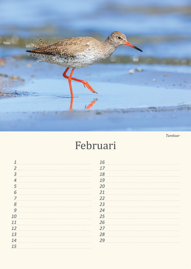 Geburtstagskalender Wiesenvögel