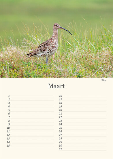 Geburtstagskalender Wiesenvögel