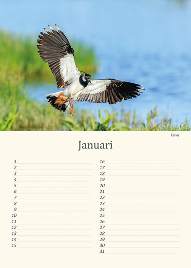 Geburtstagskalender Wiesenvögel