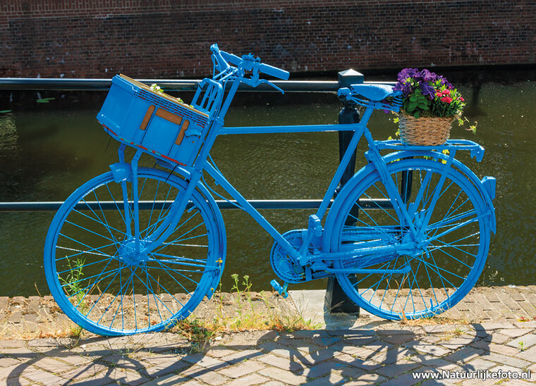Postkarte Fahrrad mit Blumen