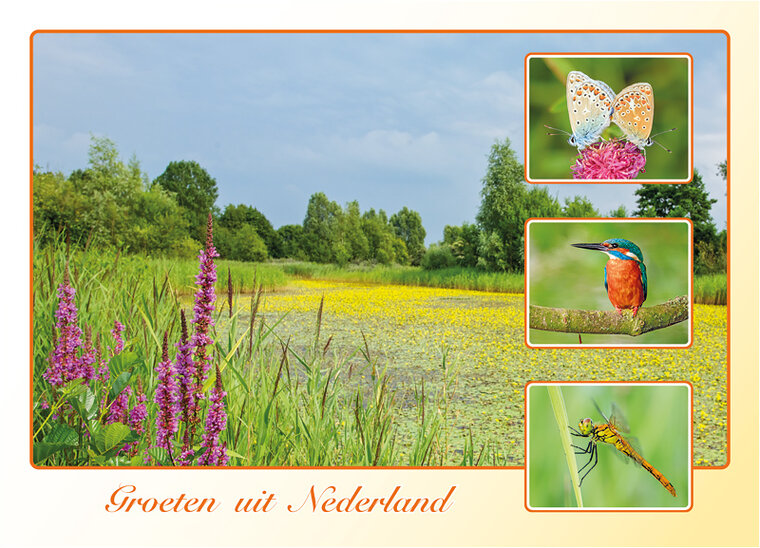 Postkarte groeten uit Nederland Fruhling