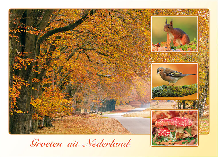 Postkarte groeten uit Nederland Herbst