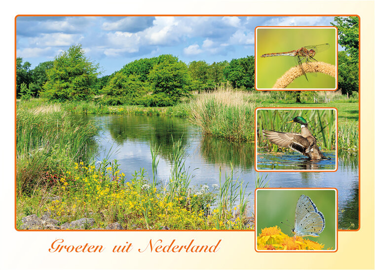 Postkarte groeten uit Nederland Fruhling