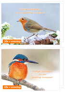 Weihnachtskarten mit Vögeln - Rotkehlchen und Eisvogel - Klappkarten mit Umschlag (set nr. 113) Weihnachtskarten mit Vögeln - Rotkehlchen und Eisvogel - Klappkarten mit Umschlag (set nr. 113)
