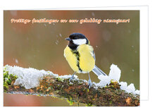 20 luxe kerstkaarten vink en koolmees - gevouwen kaarten met envelop (set nr. 115)