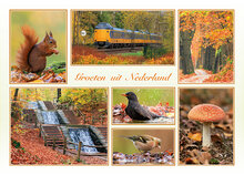 Postkarten Set Groeten uit Nederland - Set mit 12 Postkarten (nr. 130)