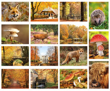 Herbst Postkarten Set - 15 Postkarten mit Herbstmotive (nr. 020)