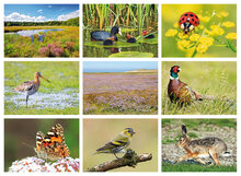 Postkarten Set Natur - 9 Postkarten mit Naturmotive (nr. 123)