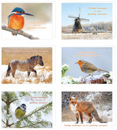 Luxus-Weihnachtskarten-Set - 30 Doppelkarten mit Umschlag (set nr. 105)