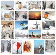 Postkarten Set Winter - 21 Postkarten mit Wintermotive (nr. 46)
