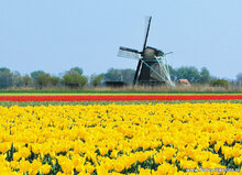 Postkarten Nord-Holland - 10 Postkarten mit Nord-Holland Motive (nr. 14)