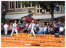 Postkarten Nord-Holland