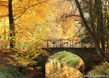 Herbst Postkarten Set - 15 Postkarten mit Herbstmotive (nr. 020)