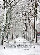 Postkarten Set Winter - 21 Postkarten mit Wintermotive (nr. 46)