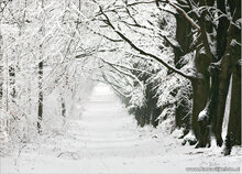 Postkarten Set Winter - 15 Postkarten mit Winter motive (nr. 045)