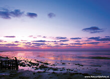 Postkartenset Strand und Meer - Set mit 12 Postkarten (nr. 40)