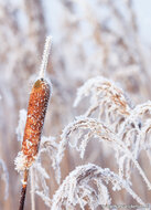 Postkarten Winter - Set mit 11 Postkarten mit Wintermotive (nr.117)
