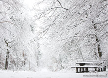 Postkarten Winter - Set mit 11 Postkarten mit Wintermotive (nr.117)