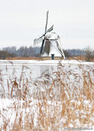 Postkarten Set Mühle - 8 Postkarten mit Mühle Motive (nr. 126)