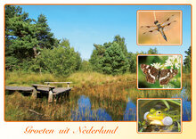 Postkarten Set Groeten uit Nederland (nr. 109)