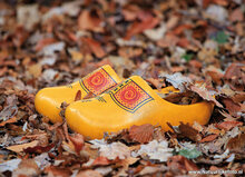 Postkarten Herbst - set mit 11 Postkarten mit Herbstmotive (nr. 108)