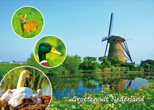 Postkarten Set Groeten uit Nederland - Set mit 9 Postkarten (nr. 100)