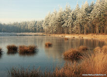 Postkarten Set Winter - 12 Postkarten mit Wintermotive (nr. 088)